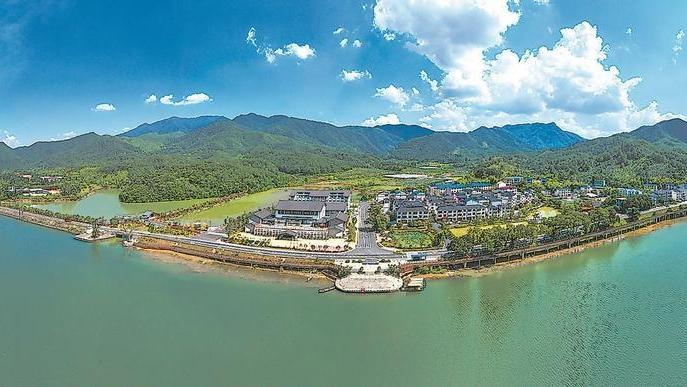 将乐县高唐镇常口村持续深化集体林权制度改革