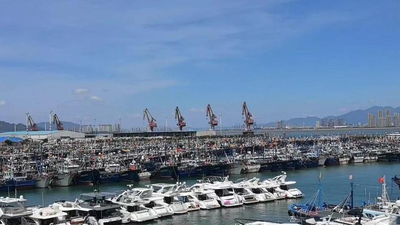 台风“杨柳”将再次登陆 福建沿海39条客渡运航线停航