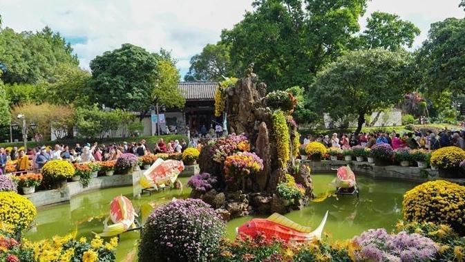 福州西湖菊展7日盛大启幕 万菊争妍醉秋光