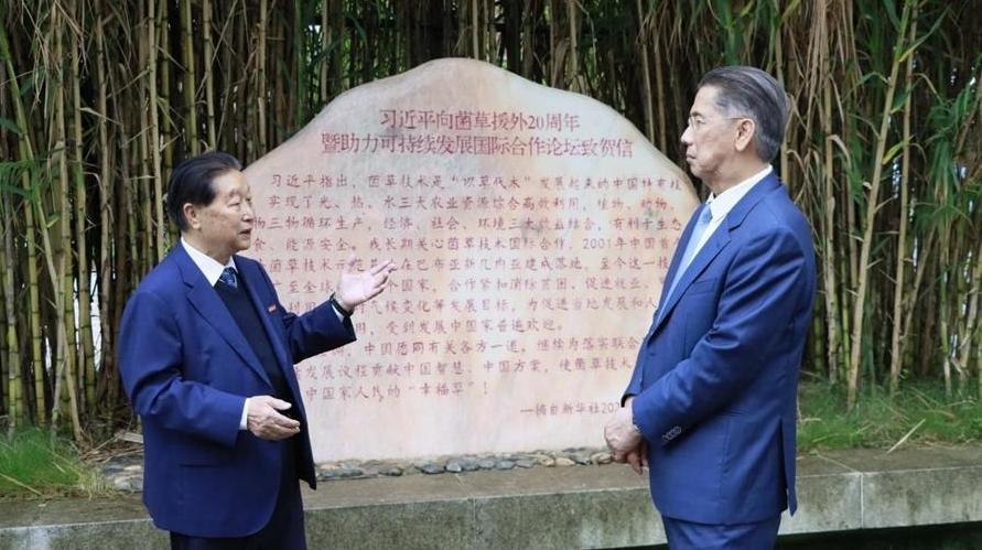 一场跨越30年的“菌草奔赴”