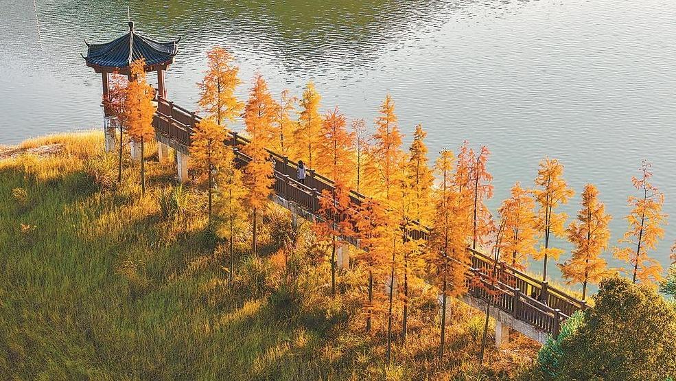 ˮɽʱ  2025ѧϰ᳹격̬˼ֻ