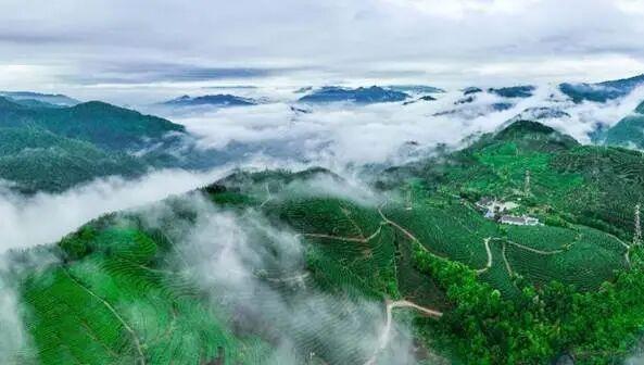 ̹�󹤷򣬺��Դӡ��й��衱��������衱��