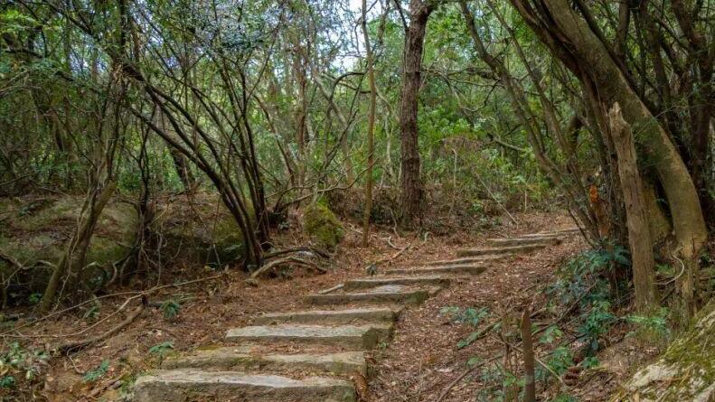 ̫���ˣ�����������������¸��½����ţ�