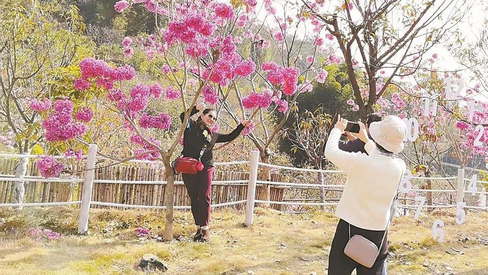 2026�ꡰ��Լ������ӣ����ʮ��򿨵㷢��