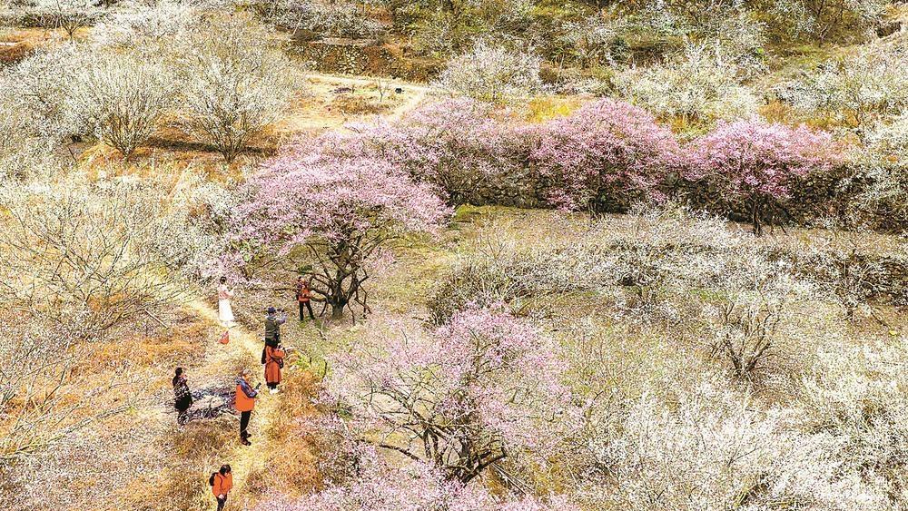 ��÷����������