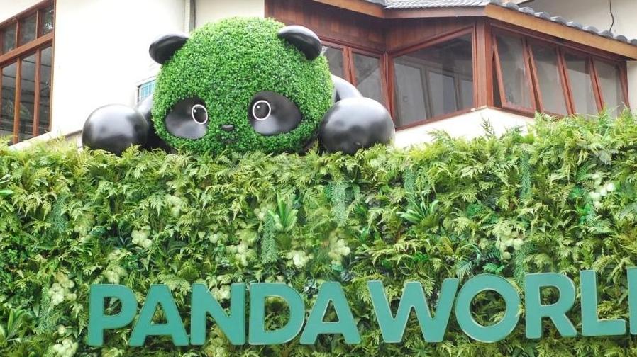 �격sunbet��������è�����ھ��״��ع⣬�ڴ�ֵ������