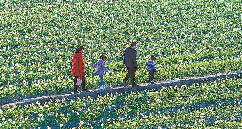 ���ݣ�ˮ�ɻ���Ƭʢ�� ��԰�ҷ�������