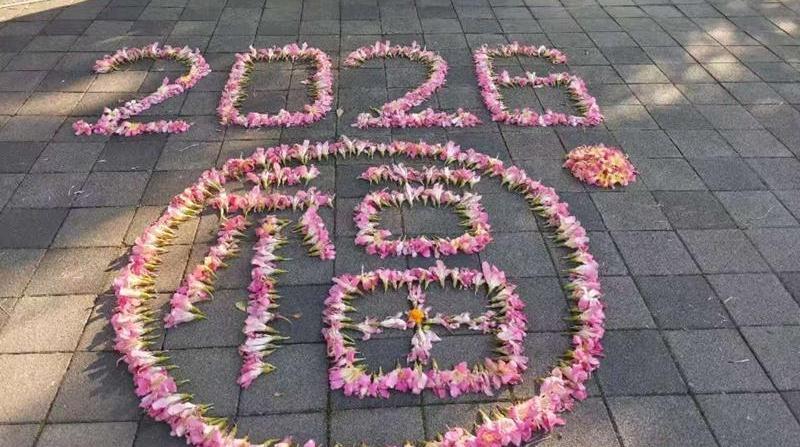 ����������������ƴ���仨֮��