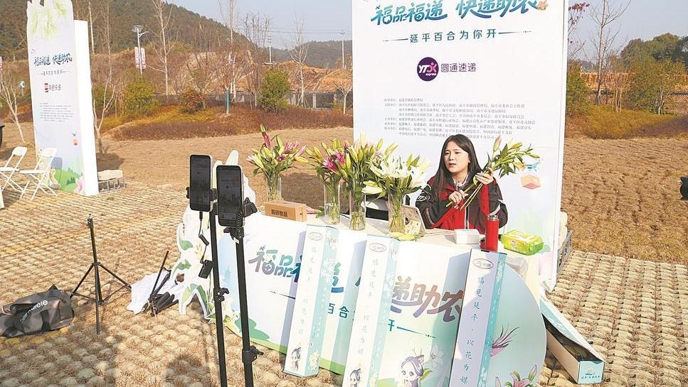 ����Ʒ���ݡ�������ƽ�ٺ������������г�