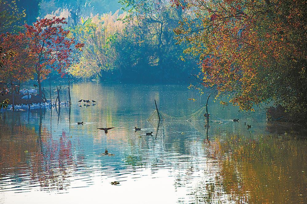 �̲��γ� ˮ���輯