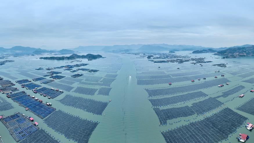 �������£�������԰����æ