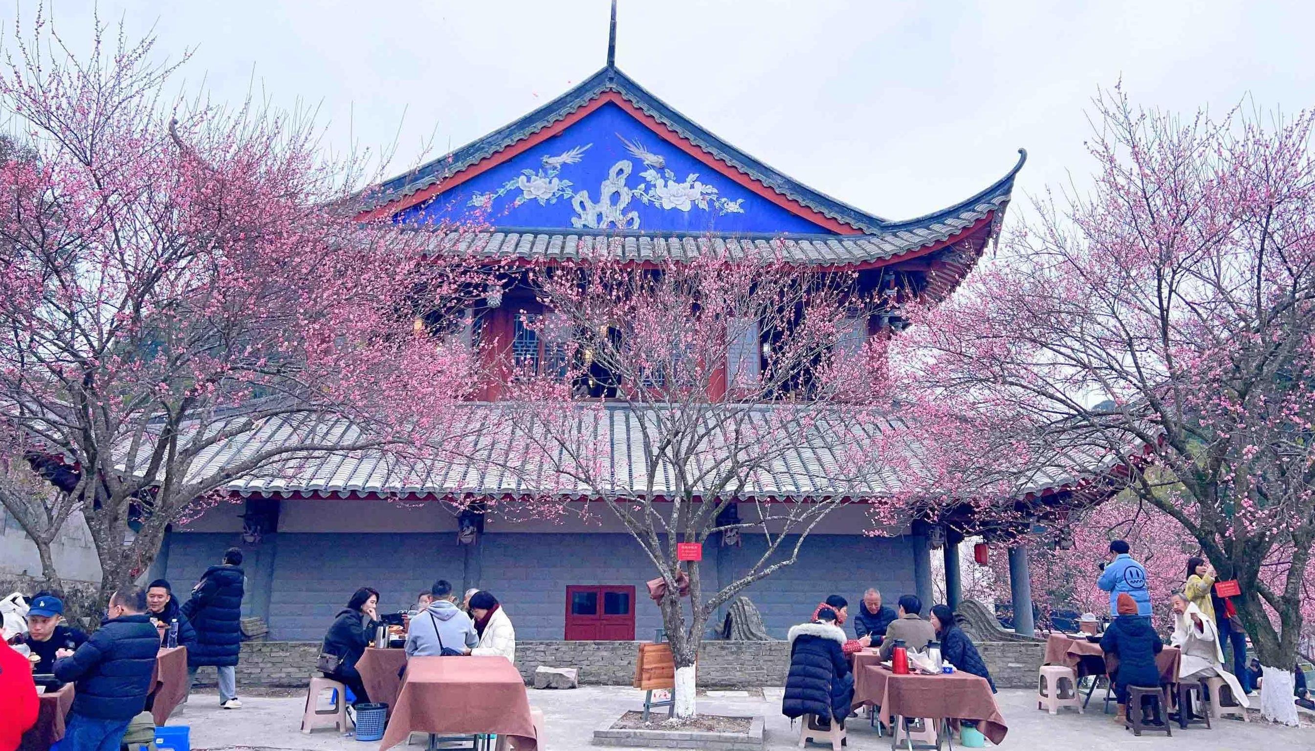 ǧ������Ѱ÷�٣��ο;�����������