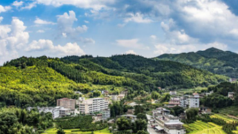 �»�320��ũ�����������������