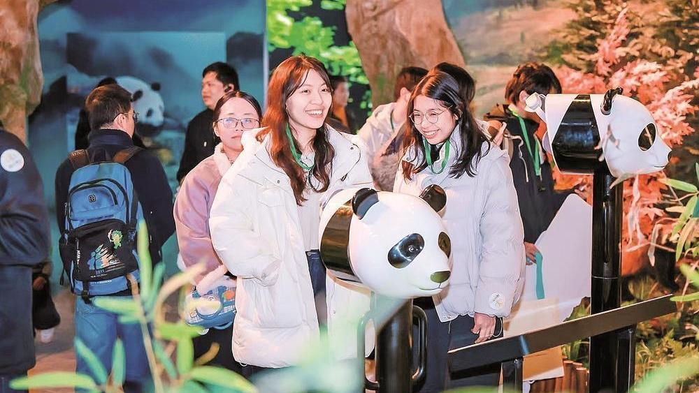 ����è�������������Ѻ�ʹ�ߡ�