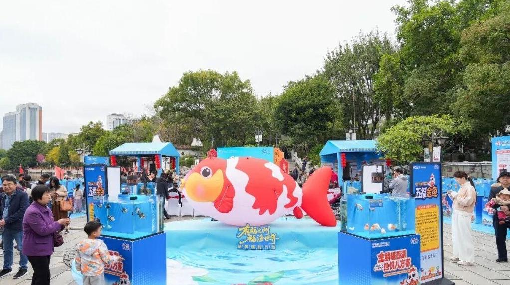 免费！福州西湖公园上新！五福金鱼来了