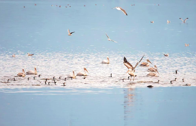 ��Դ��ӭ������һ�����������������