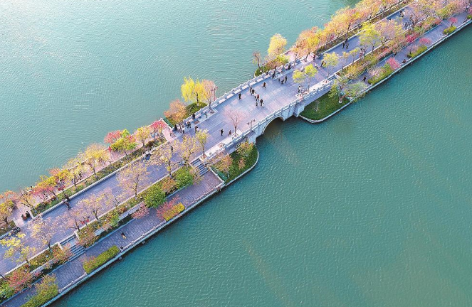 �������� �Һ�����