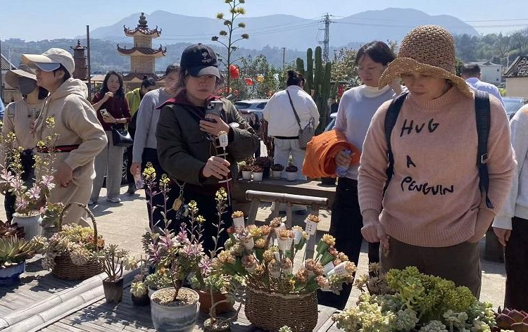 һ���Ŵ���ĵ��䣺��̨�罨�紴�������ִ�