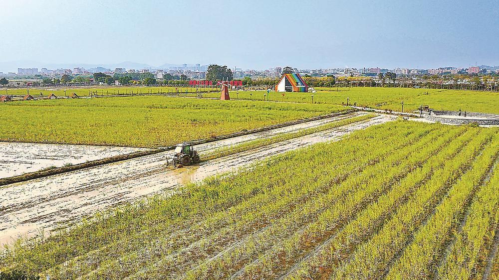 �����յķ���д��ÿһ������