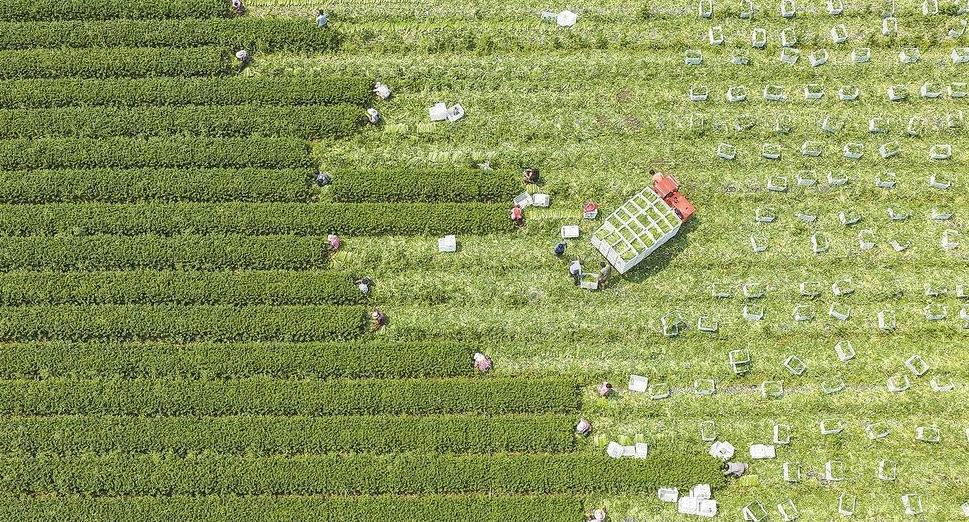 �����н���������ӭ�����۲��ռ�