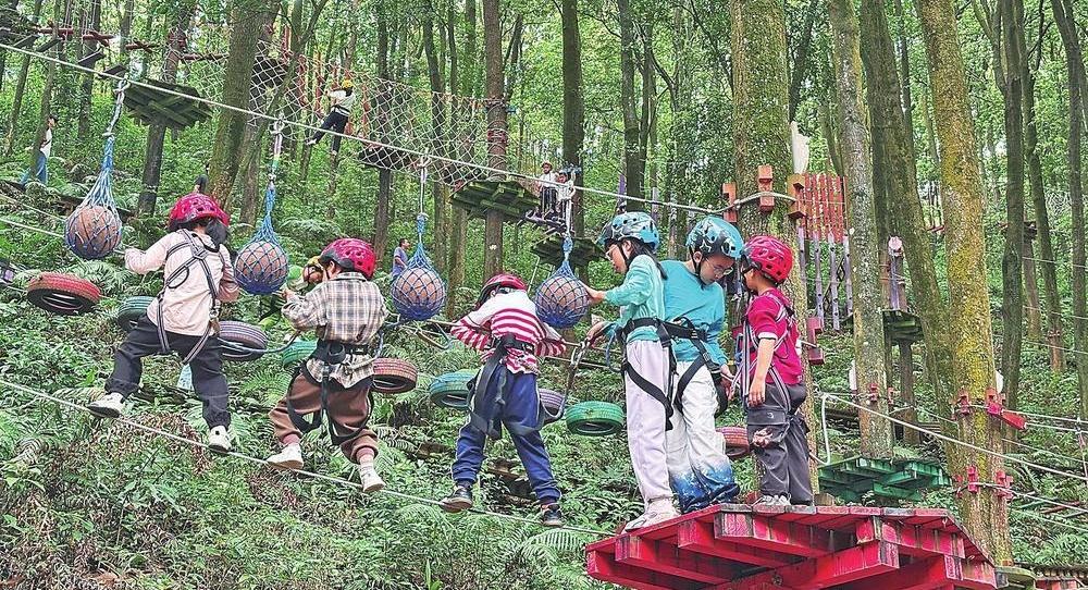 һ��һζ�Է���