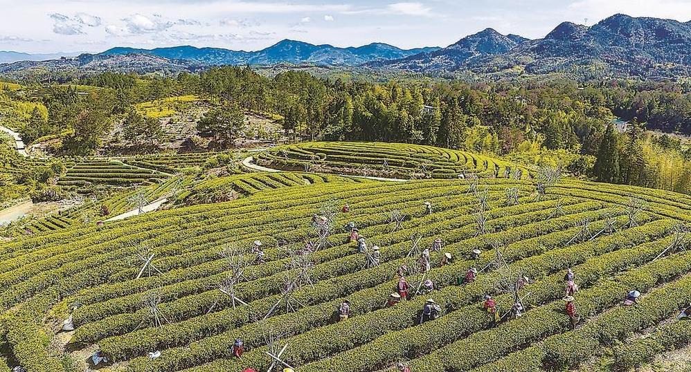 ��̩����ǰ��Ʈ��