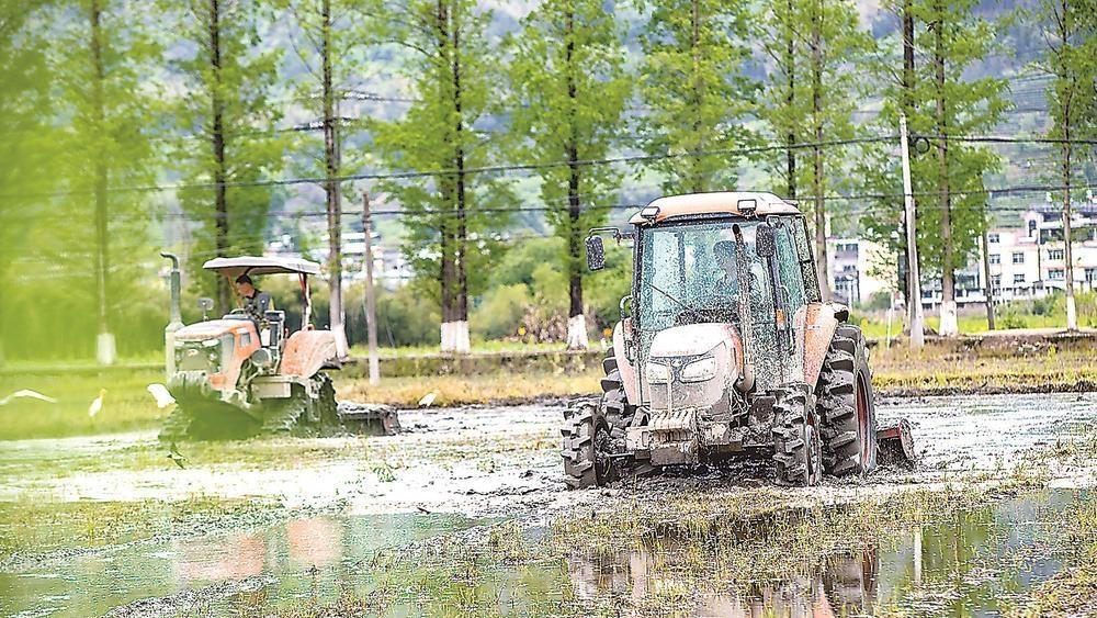 南平市松溪县迎来春耕关键期