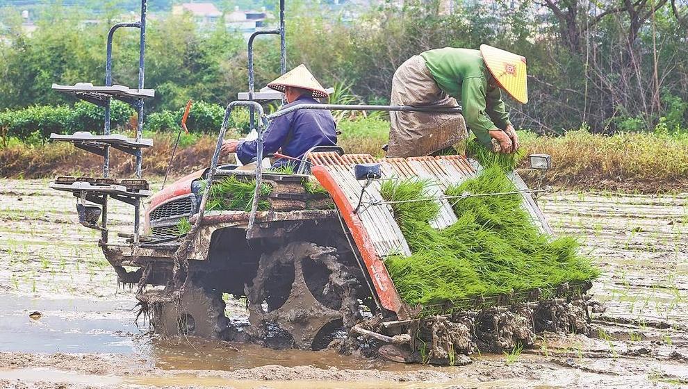 春耕备耕一线见闻