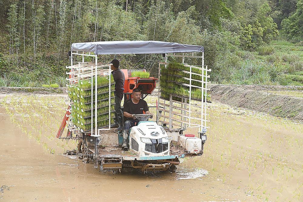 ����ũ�������������������봺������