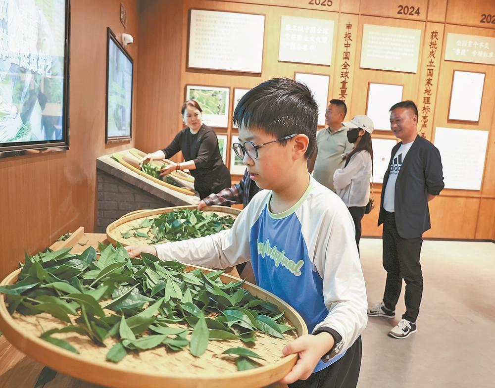 六颗“小珍珠”，串起一座没有围墙的博物馆