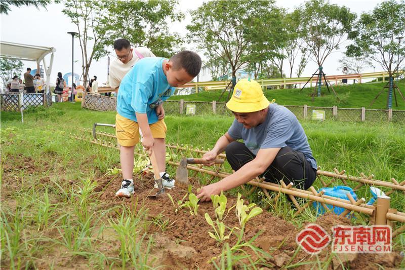 踏田埂、学政策、领文创!全国土地日福建主场活动在漳州启幕(图3)