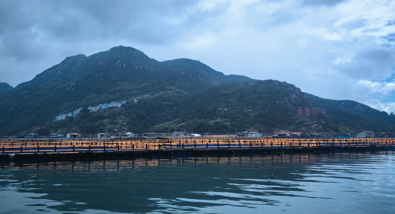 活力中国调研行丨宁德：山海相携 渔村焕新
