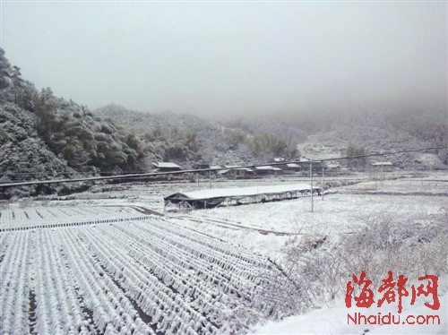 浦城下雪图片