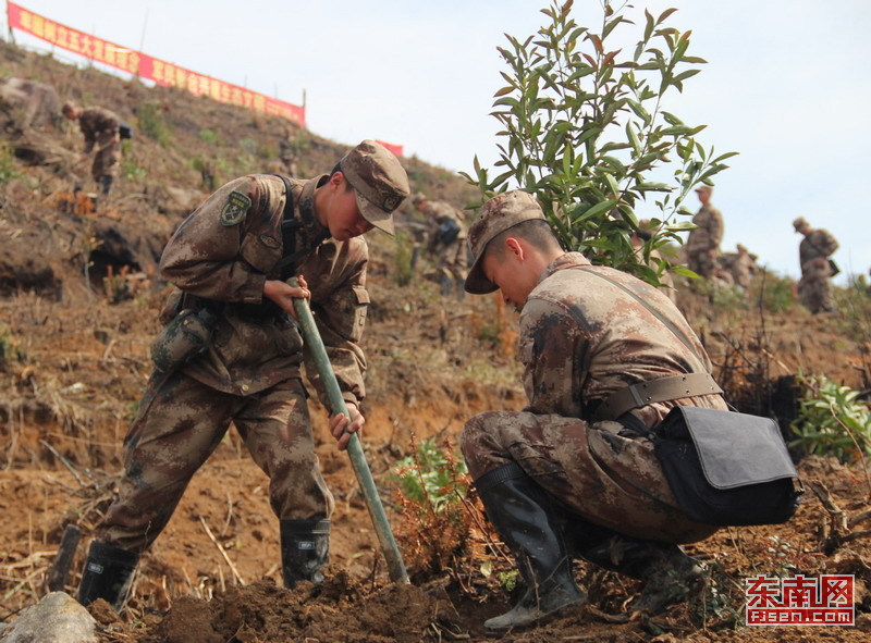 熊安东黄琪玉赴周宁参加驻闽部队植树活动