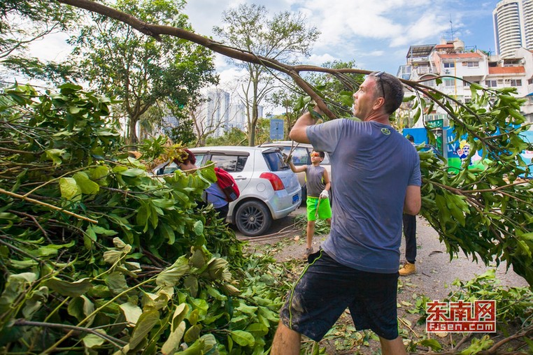 "莫兰蒂"台风过后,各行各业,各国籍,各年龄层的市民们纷纷自发走上