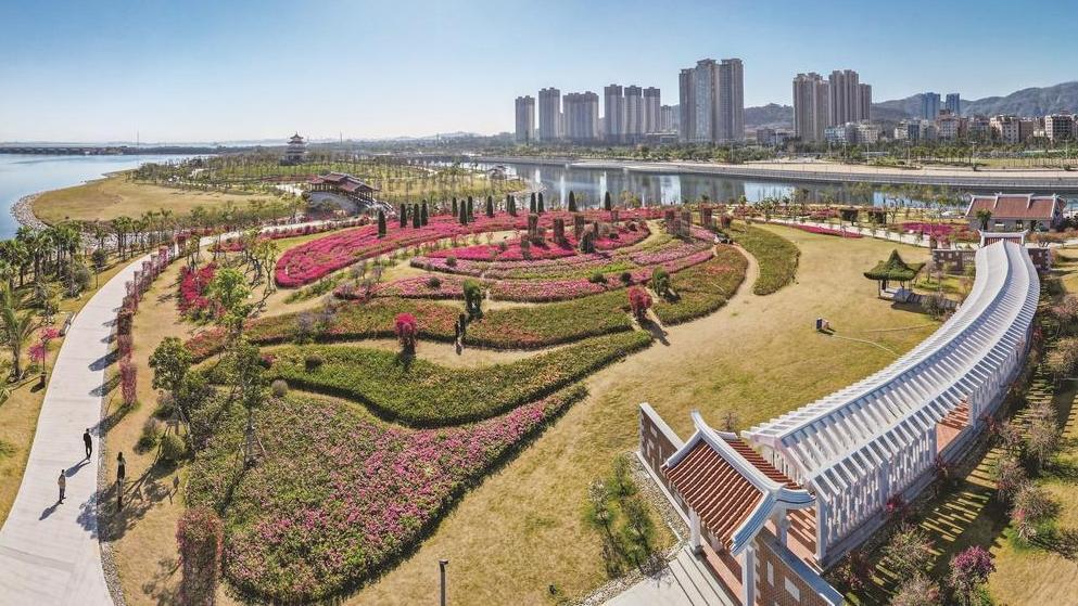厦门海沧：五年蝶变，高质量发展多了“诗意”