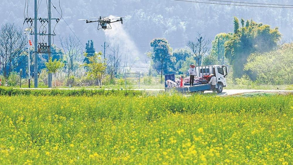 春耕备耕一线见闻