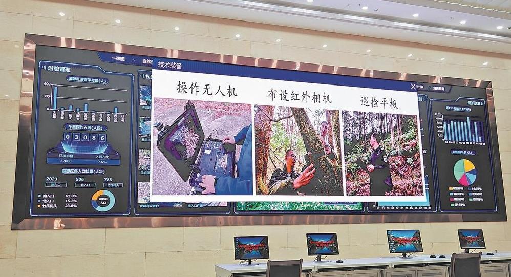 春天的回响 | 一张网，守护万重山