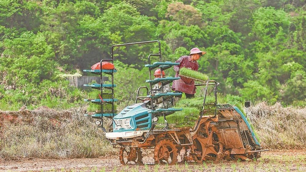 农田穿梭插秧机